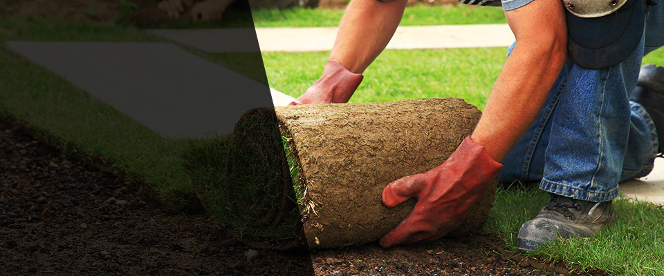 Barnwell Landscapers
